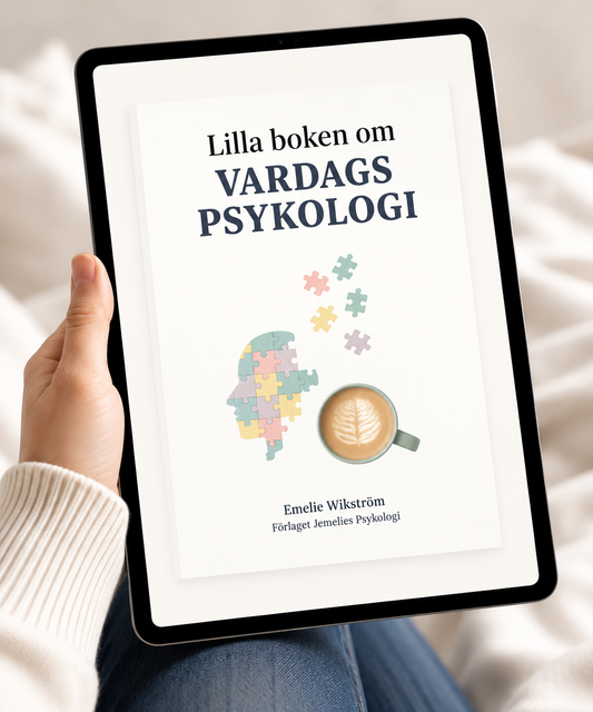 Lilla boken om vardagspsykologi - PDF