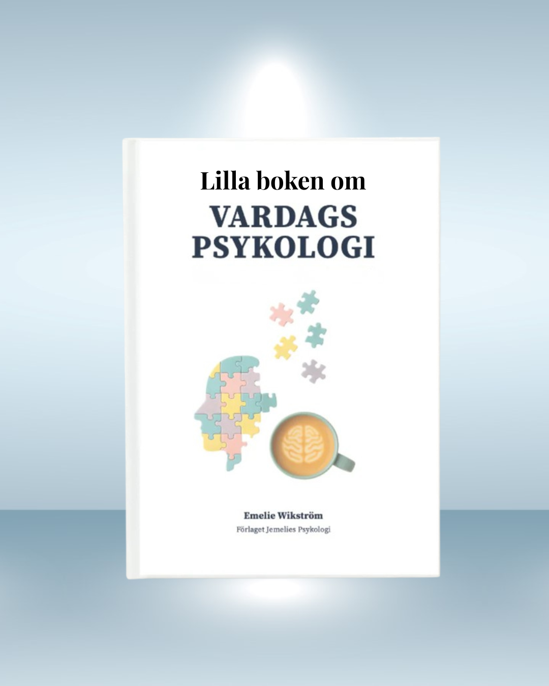 Lilla boken om vardagspsykologi - PDF