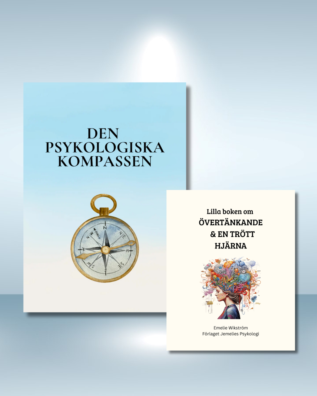 Nyhet! Paket: När hjärnan går på högvarv - PDF