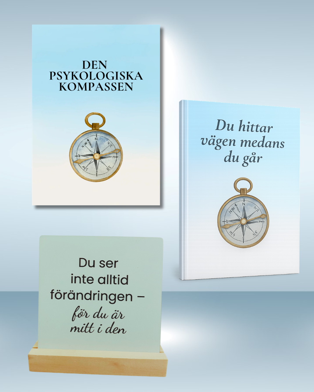 Presentpaket- Den psykologiska kompassen-Du ser inte alltid förändringen, för du är mitt i den
