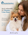 Vill du stötta Hundar Utan Hem direkt? 💛
